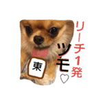 愛犬たちの日常スタンプ（個別スタンプ：24）