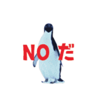 いやなペンギンと南極の仲間たち（個別スタンプ：18）