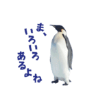 いやなペンギンと南極の仲間たち（個別スタンプ：29）