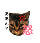 それいけまりんちゃん！（個別スタンプ：4）