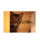 それいけまりんちゃん！（個別スタンプ：7）