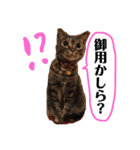 それいけまりんちゃん！（個別スタンプ：8）