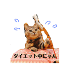それいけまりんちゃん！（個別スタンプ：15）