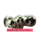 オヤジ猫うらさん（個別スタンプ：6）