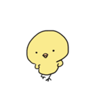 ピヨっとインコ川（個別スタンプ：1）