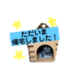 それいけまりんちゃん！2（個別スタンプ：6）
