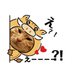 みーちゃんのスタンプ！！！（個別スタンプ：1）