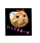 みーちゃんのスタンプ！！！（個別スタンプ：4）