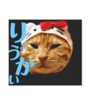 みーちゃんのスタンプ！！！（個別スタンプ：5）