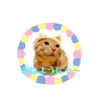 みーちゃんのスタンプ！！！（個別スタンプ：6）