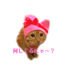 みーちゃんのスタンプ！！！（個別スタンプ：7）