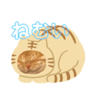 みーちゃんのスタンプ！！！（個別スタンプ：14）