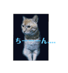 みーちゃんのスタンプ！！！（個別スタンプ：15）