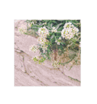 flower shop*（個別スタンプ：10）