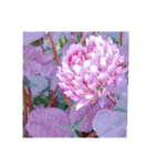flower shop*（個別スタンプ：21）