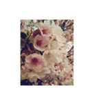 flower shop*（個別スタンプ：32）