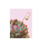 flower shop*（個別スタンプ：35）