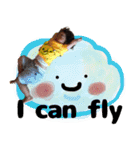 かえでと愉快な仲間たち 英語バージョン（個別スタンプ：16）