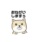 柴犬のヤマト（個別スタンプ：6）