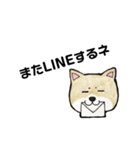 柴犬のヤマト（個別スタンプ：7）