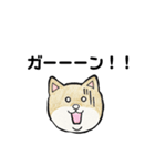 柴犬のヤマト（個別スタンプ：9）