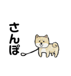柴犬のヤマト（個別スタンプ：13）
