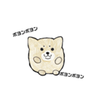 柴犬のヤマト（個別スタンプ：15）