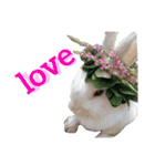 うさぎのももた（個別スタンプ：1）