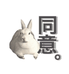うさぎのももた（個別スタンプ：10）