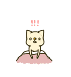 nabeにゃんこの日常スタンプ（個別スタンプ：34）