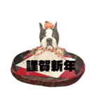 ヤンキーくんとミカンちゃんと仲間たち（個別スタンプ：1）