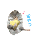 ハムスター大盛スタンプ（個別スタンプ：7）
