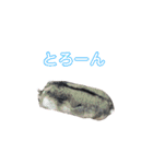 ハムスター大盛スタンプ（個別スタンプ：11）