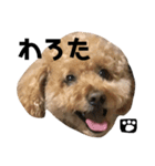 小太郎です2（個別スタンプ：8）