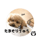 小太郎です2（個別スタンプ：9）
