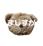 うちのくんちゃんスタンプ（個別スタンプ：15）