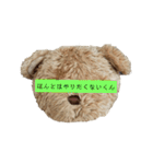 うちのくんちゃんスタンプ（個別スタンプ：17）