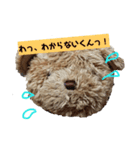 うちのくんちゃんスタンプ（個別スタンプ：23）