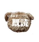 うちのくんちゃんスタンプ（個別スタンプ：31）