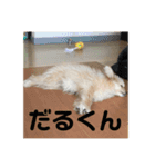 ベル2（個別スタンプ：10）