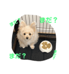 ベル2（個別スタンプ：14）