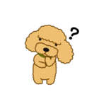 のんびりトイプー。02（個別スタンプ：5）