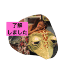 のあさま（個別スタンプ：22）