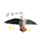 インコのオコメ一家とロッキー＆ポピー（個別スタンプ：7）