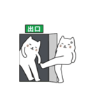 おもしろい猫たち！（個別スタンプ：13）