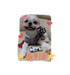 我が家の可愛い日常2（個別スタンプ：2）