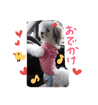 我が家の可愛い日常2（個別スタンプ：3）