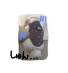 我が家の可愛い日常2（個別スタンプ：11）