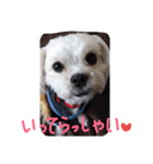 我が家の可愛い日常2（個別スタンプ：12）