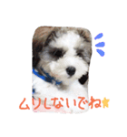 我が家の可愛い日常2（個別スタンプ：13）